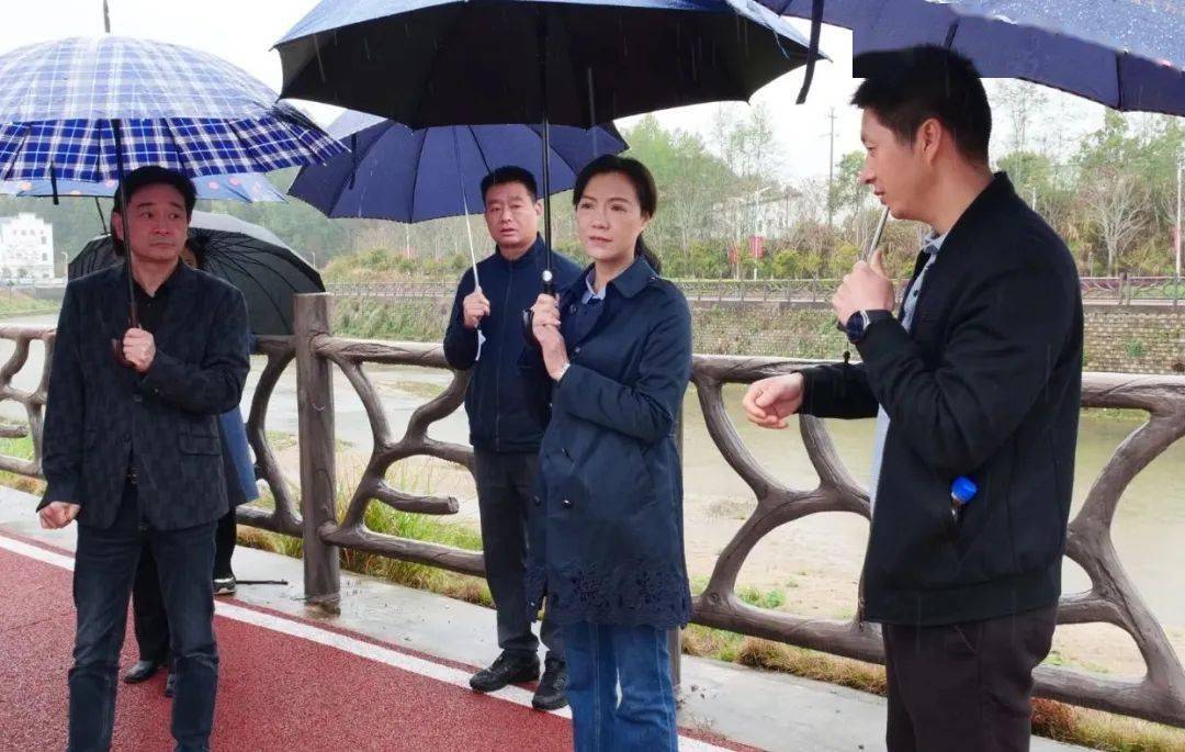 市政府主要领导现场推进违法用地问题整改_保护_耕地_工作