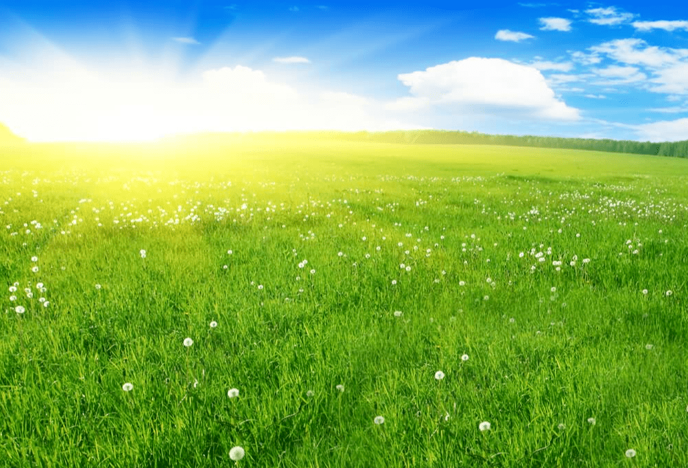 气温一路上扬 阳光普照积雪稀少_全省_降水_夜间