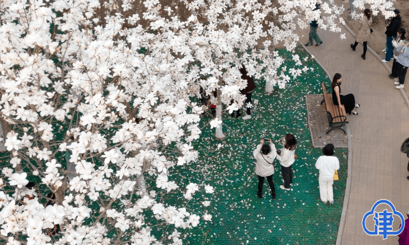 补助进步、大奖揭晓！天津一多量项目、活动都定了！