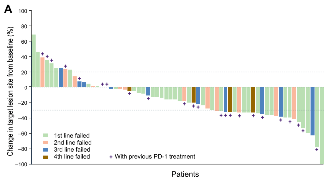 ���й�����������������ڡ���ǿ�����Ŷ����ֳɹ����� ...