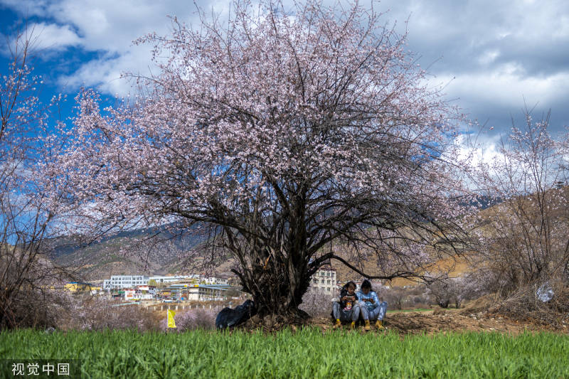 四川得榮: