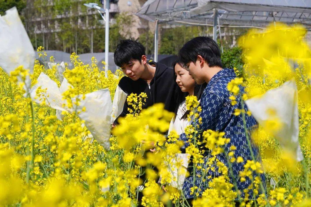 浙农林大的校花校草遇见了充满诗意的春天~_微风_冬日_芳香