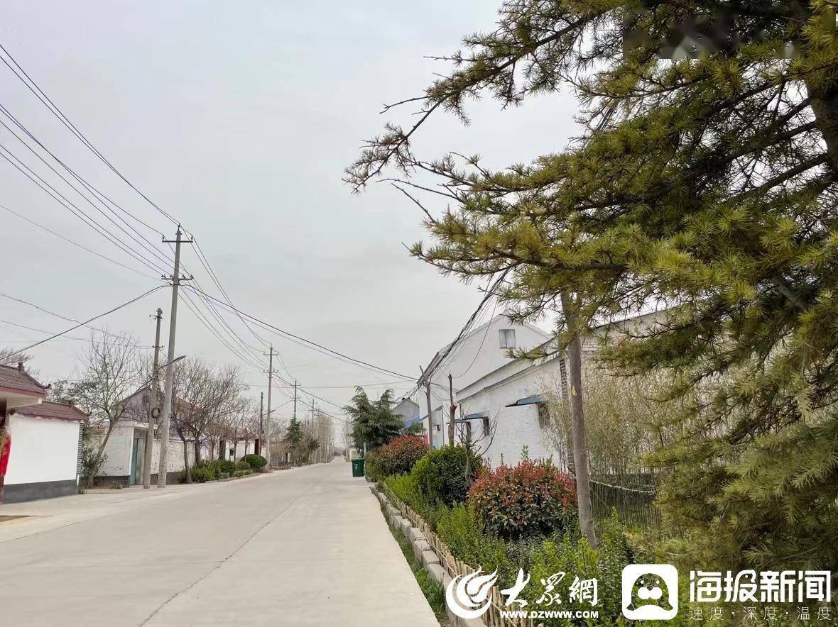 鱼台县王鲁镇整治人居环境 打造美丽乡村