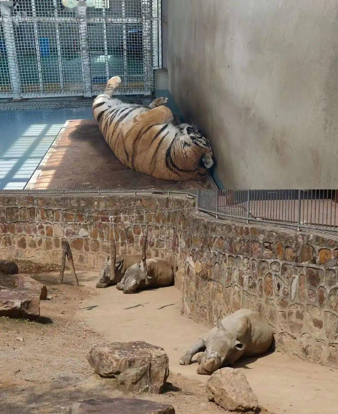 躬行天地大美 不负春光之约