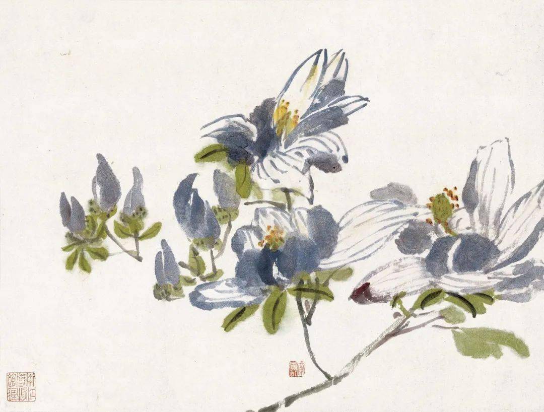 潘天寿：黄宾虹的花鸟，有水流花放之妙_cm_浙江省博物馆_花卉