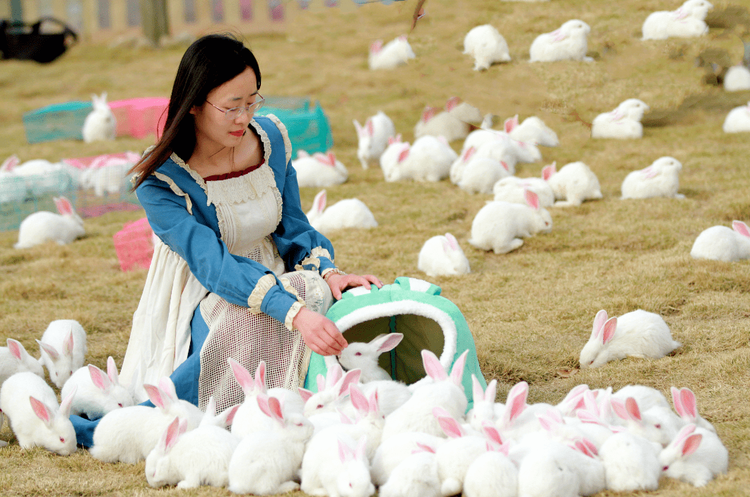 2023南昌首個千兔公園 野人馬戲團表演 侏羅紀恐龍園,4月1號盛大迎客!