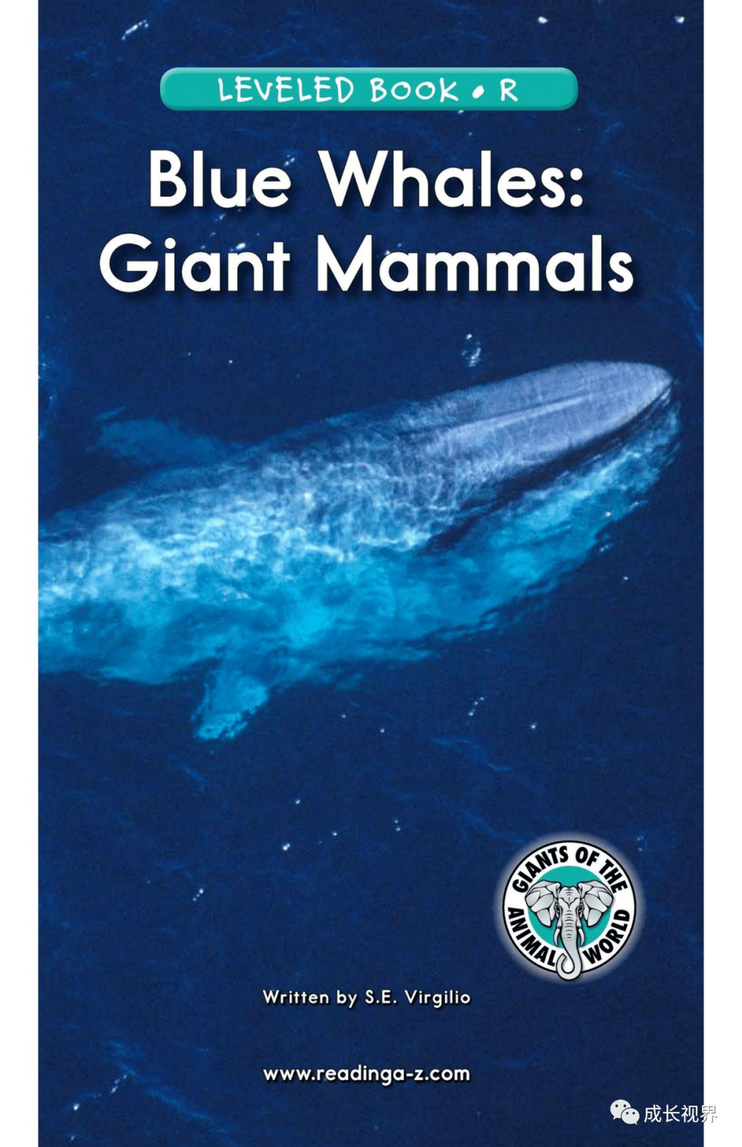 【RAZ-R-12】Blue Whales:Giant Mammals