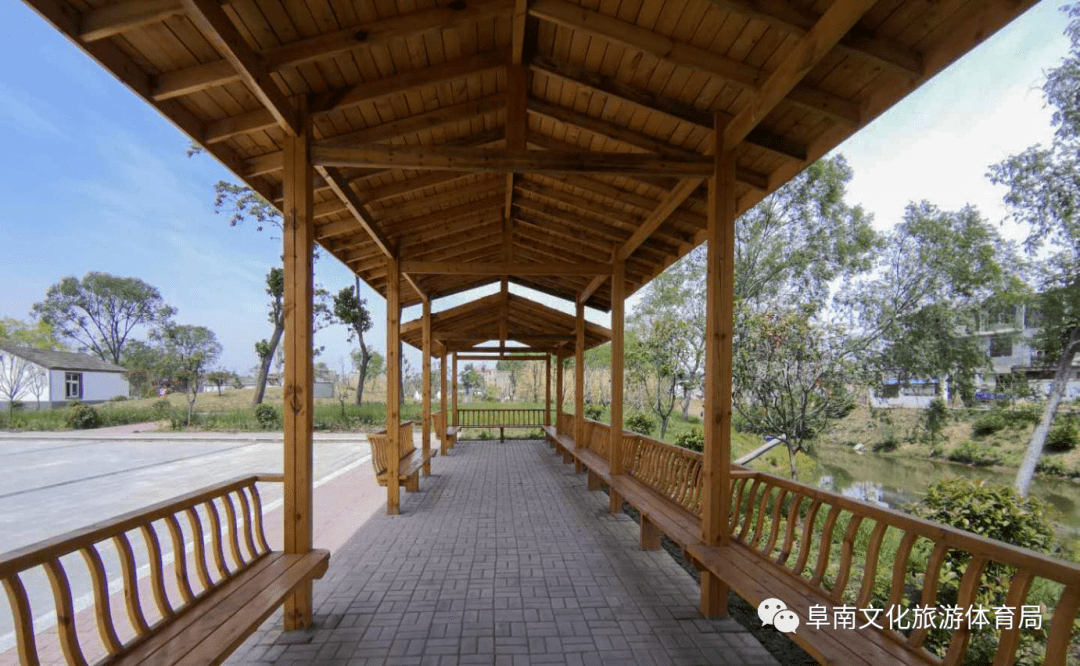 阜南县柳沟镇因地制宜,大力发展特色种植业,推动乡村旅游.