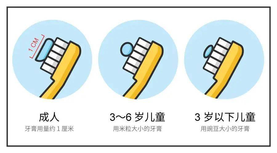 必须控制牙膏用量,3岁以下婴幼儿每天早晚使用米粒大小的儿童含氟牙膏