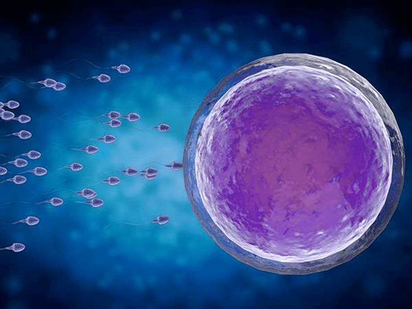 【科普专栏】"无精子症"也能当爸爸?