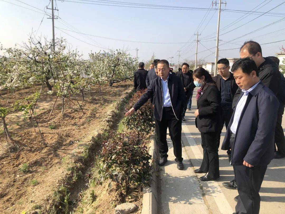 大王村7.黑山村6.上寨村5.张庄村4.柳沟村3.百福图村2.下寨村1.