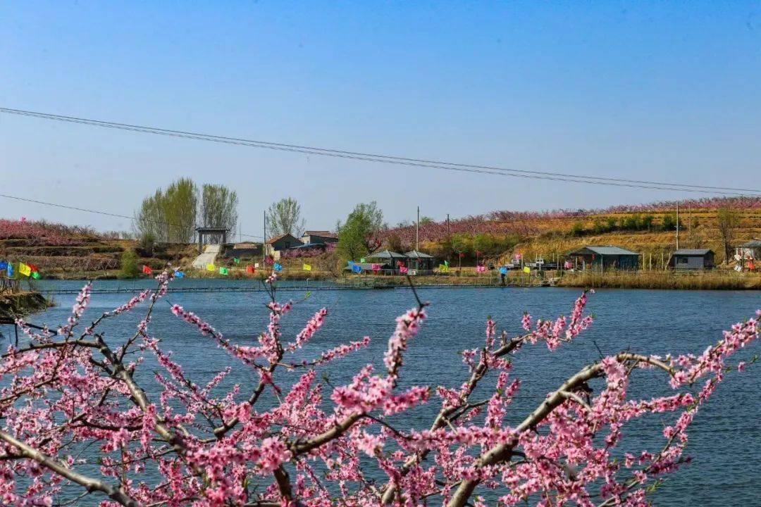 龙廷豹峪桃花节丨新泰融媒特约摄影师采风作品展示_版权_相关_声明