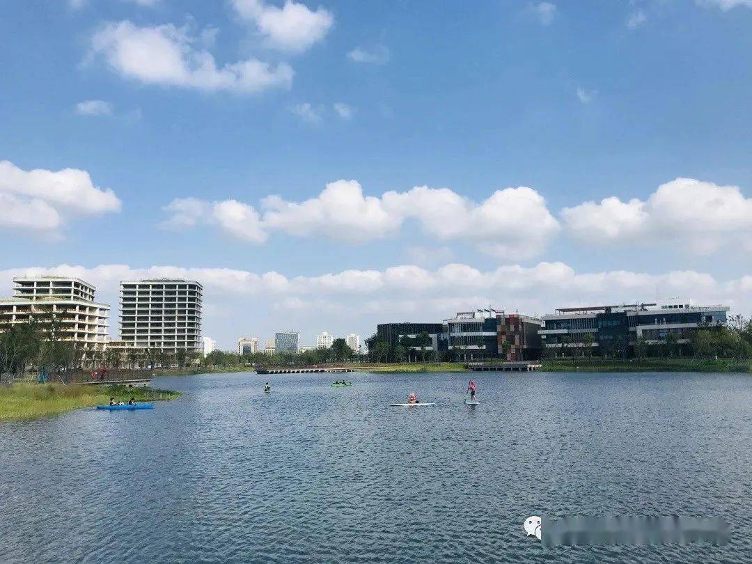 【五一】森兰湖桨板认证营_皮划艇_教练_教学