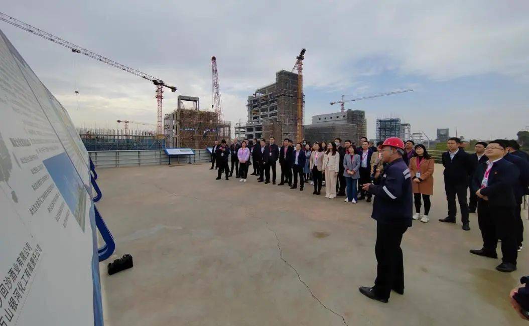 市委党校中青班主题党日走进白洋工业园_田家河_宜昌_化工