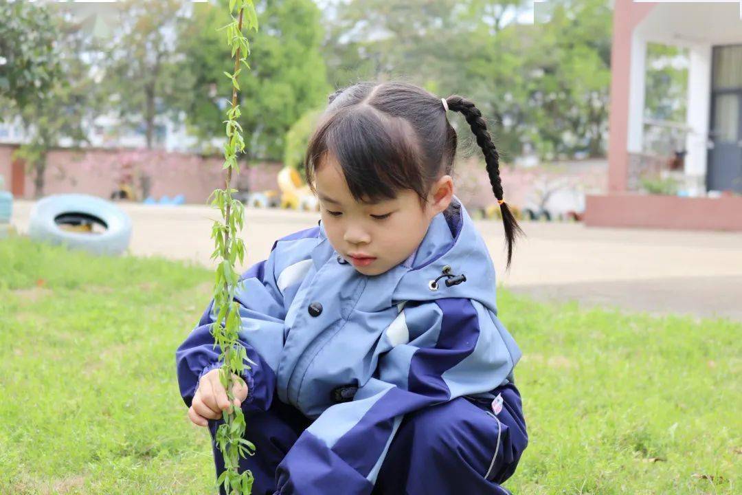 我们的节日61精神的家园 清明节丨大田街道开展"童心巧手折纸花