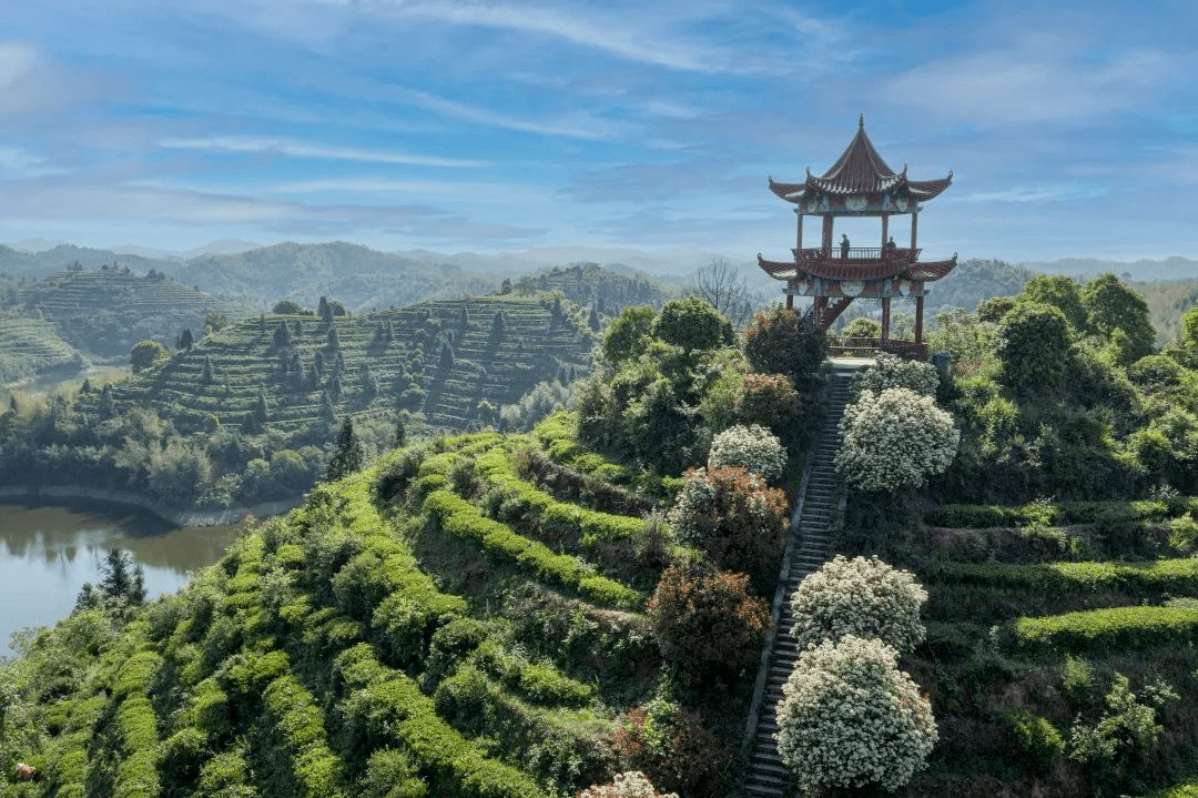 2023年耒阳市乡村文化旅游节之首届江头贡茶文化节将于4月9日盛大开幕