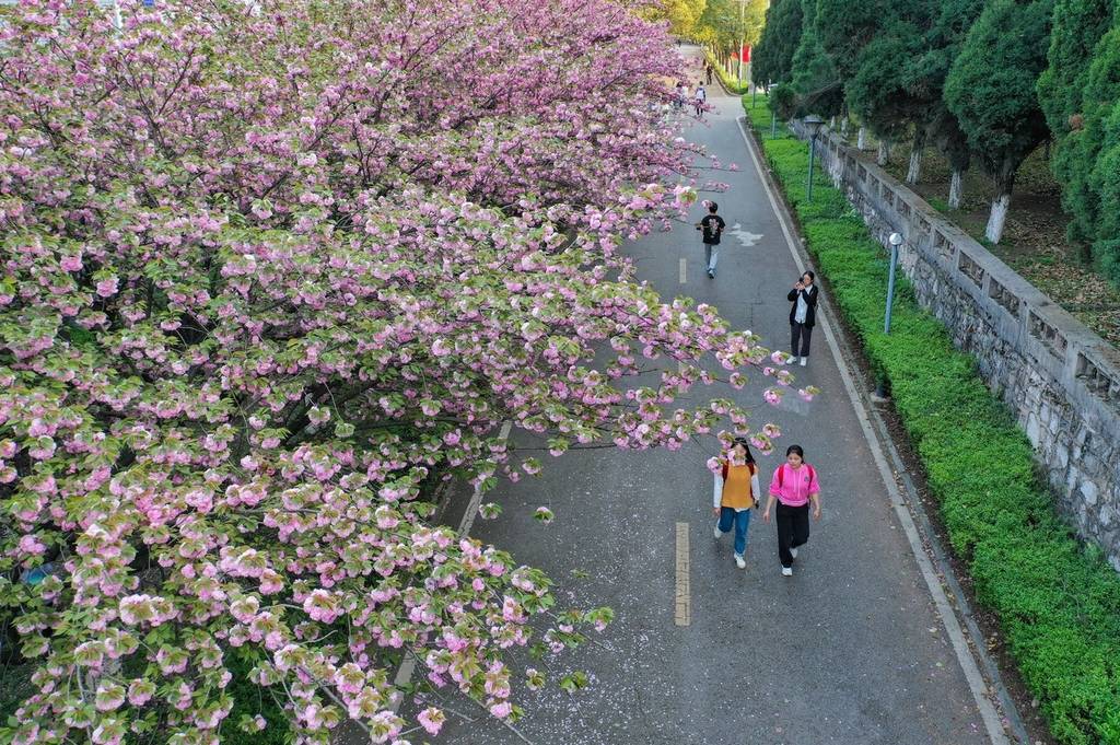 贵州民族大学花溪图片