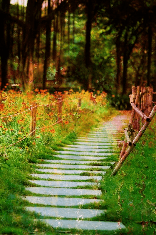 朗诵丨远处是风景,近处是人生_生活_地方_远方