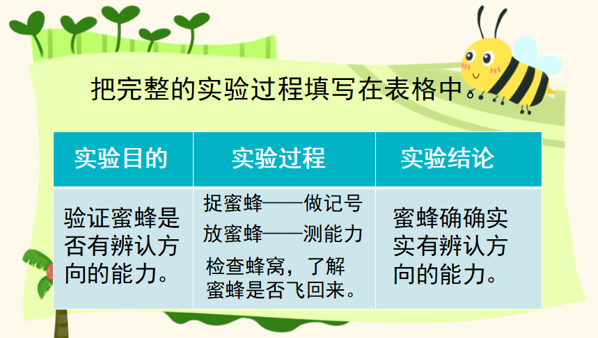 昆虫备忘录蜜蜂的种类图片