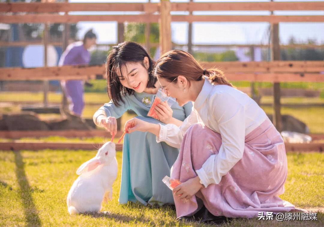 恐龙_小朋友_实景