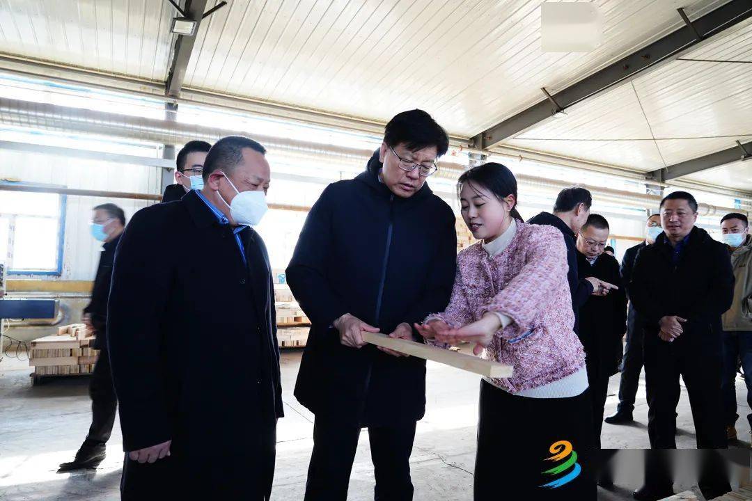 于伟东先后来到满洲里交通物流公司,鸿利木业,边境防火带,市应急管理