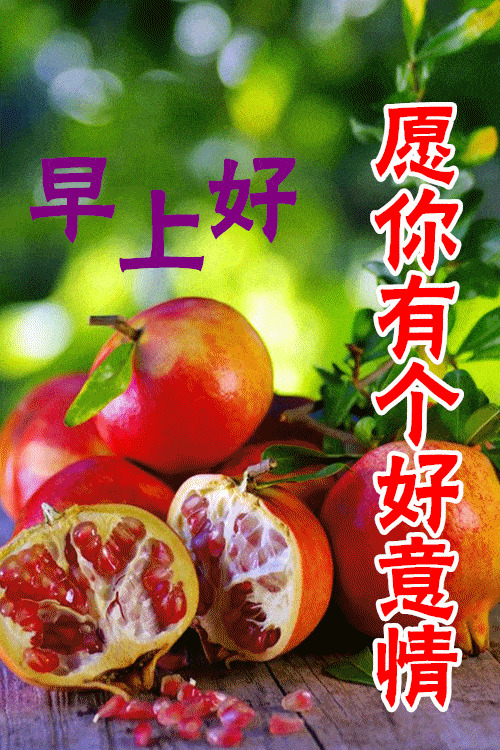 看淡的图片和文字_看淡生活图片_看淡的图片唯美