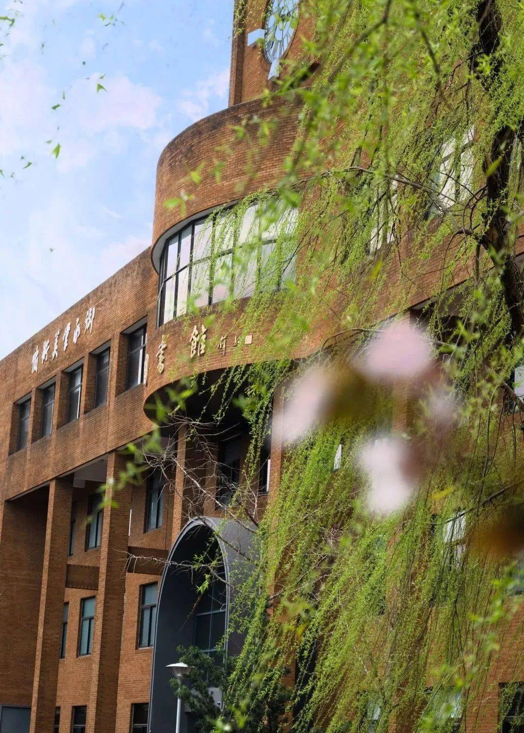 宁波大学浙江师范大学浙江工业大学中国美术学院浙江大学如果你想直接