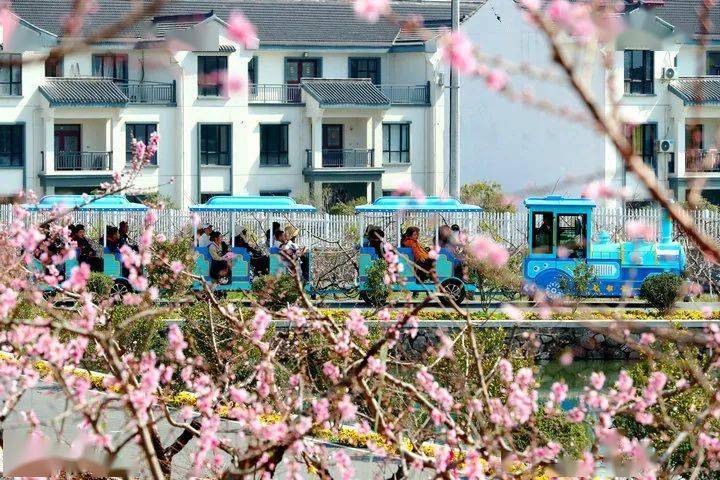 花园村天香湾赏花正当时!_景区_浙江省_旅游
