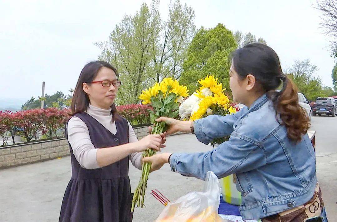 播州区:文明绿色祭祀 让清明节更"文明"_陵园_市民_纸钱