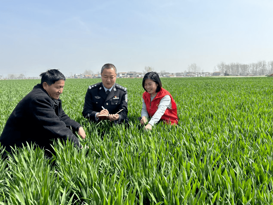 ""谢谢刚书记,经常惦记着俺……"3月29日上午,沈丘县白集镇尹庄村89岁