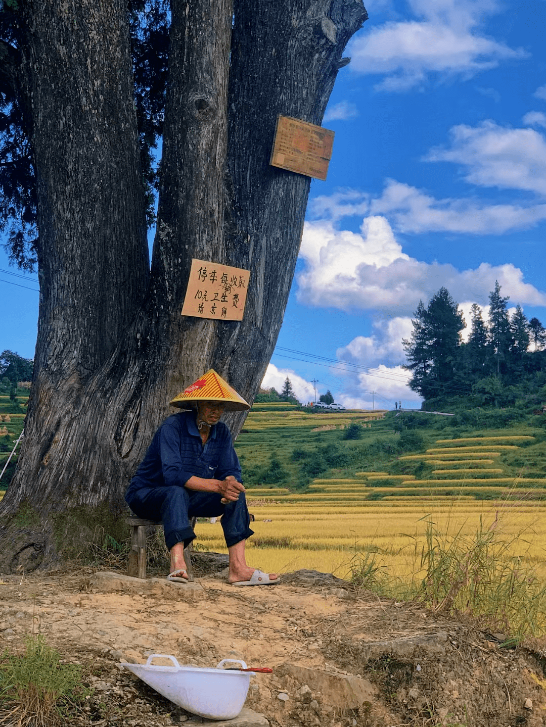 千万没想到！因“小吃”爆火成为顶流的它，竟也是座“爱玩”之城！