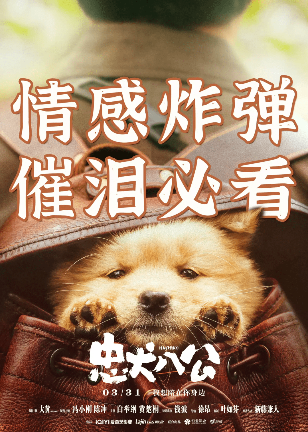 【推荐】《忠犬八公》 温情烟火暖愈人心_故事_小狗_家庭