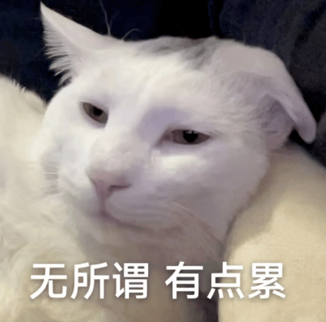 沙雕搞笑表情包:你有病吧?_熊猫头_月亮_玫瑰