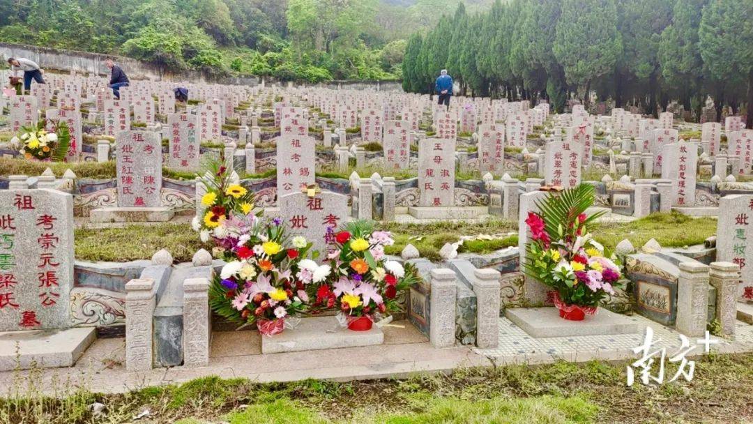 【我们的节日·清明】鲜花寄思,云祭扫……潮州人这样"绿色"过清明