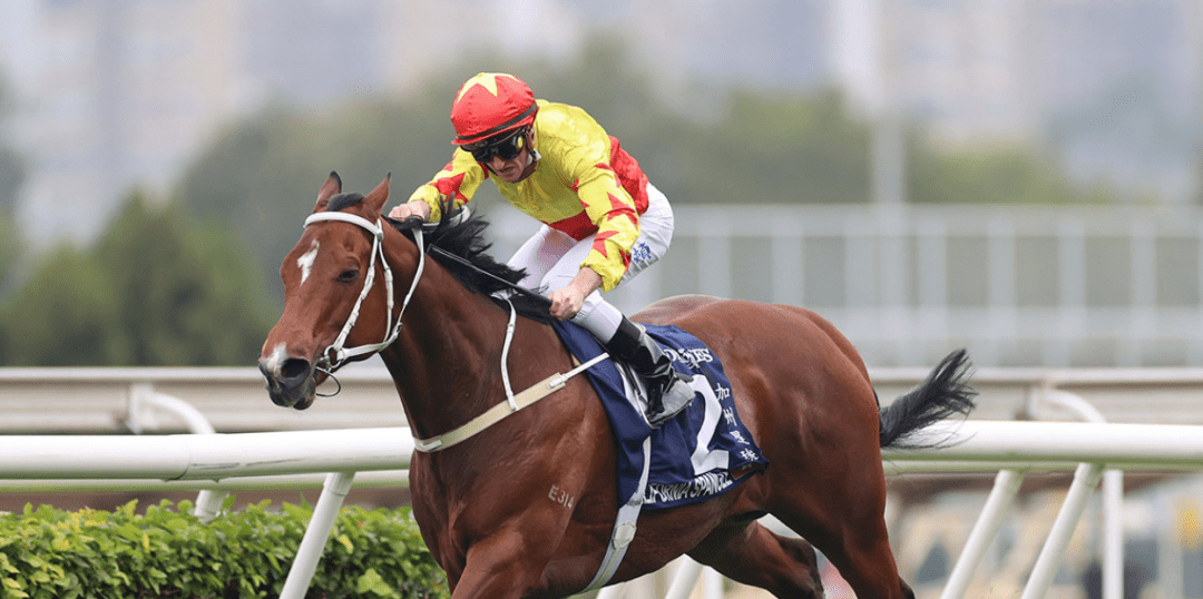 ���������涫�Ἵ������ת�������������򡱼�������ͬ������ ...