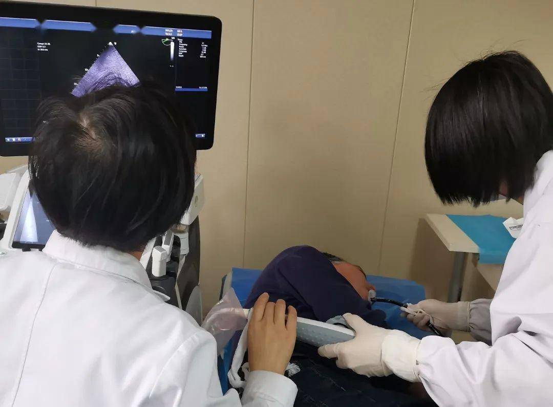 经食道超声心动图,带您从另一个视角探查心脏_左心_食管_患者