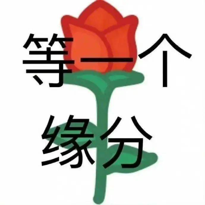 表情包可爱取图:可以色色吗?_什么_世界_熊猫头