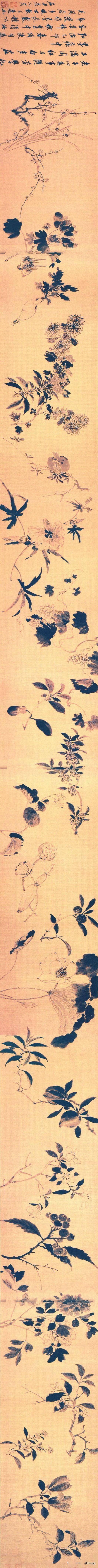 历代名家笔下那些最经典的花卉长卷！_搜狐网