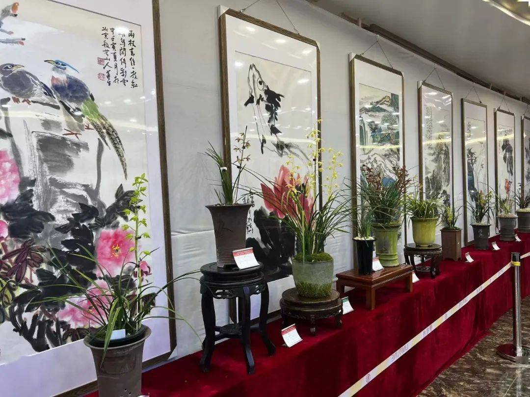 淄博兰博生物科技(康博生物科技淄博有限公司)