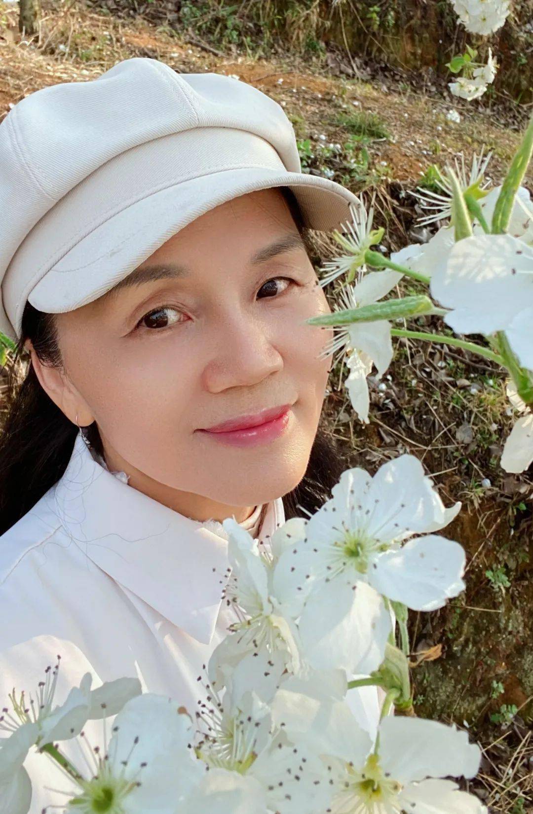 梨花似雪梦如烟|高小莉 文|张锋朗诵_阳光_花香_土地