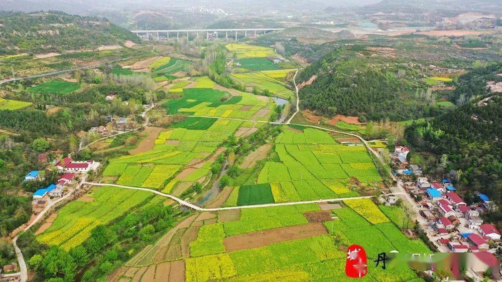 丹江口市石鼓镇贾寨村黄川村油菜花海_家乡_视频_详情