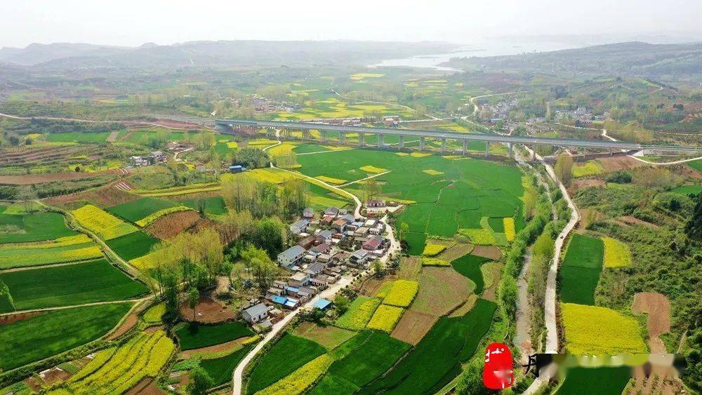 丹江口市石鼓镇贾寨村黄川村油菜花海_家乡_视频_详情