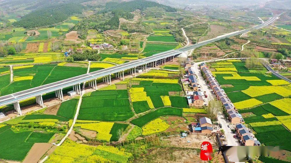 丹江口市石鼓镇贾寨村黄川村油菜花海_家乡_视频_详情