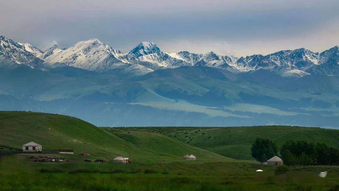 【全國招募】仲夏伊犁,昭蘇(天馬)夏塔,庫爾德寧,喀拉峻草原,霍城