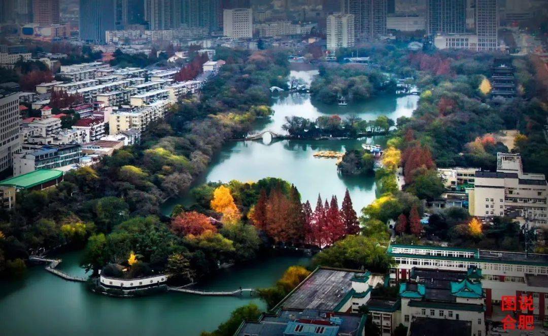 今年,合肥又要办大事了!_环城公园_王牌_巢湖