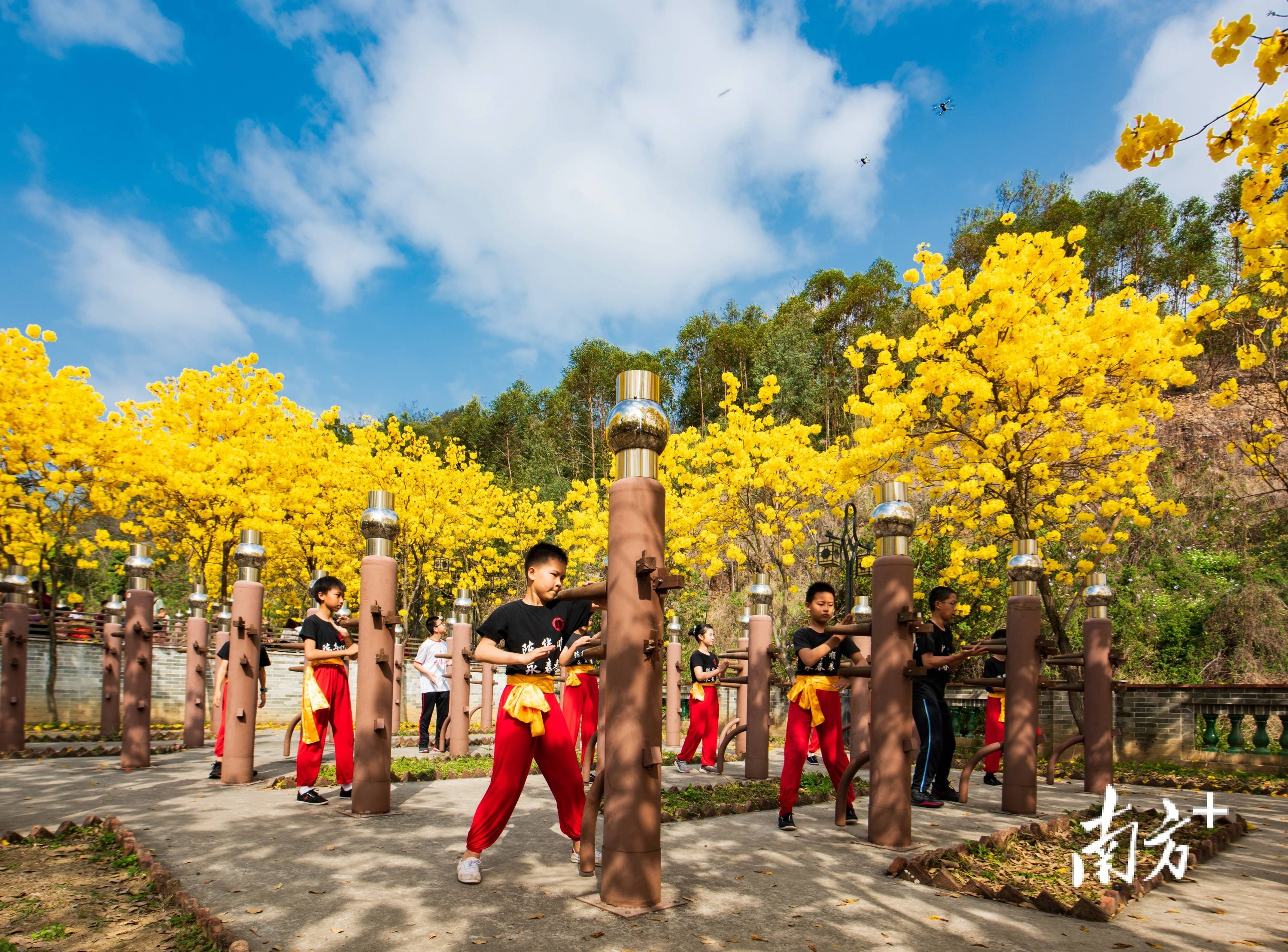 逢简水乡之后，杏坛若何再造顶流文旅IP？ ｜阅镇不雅