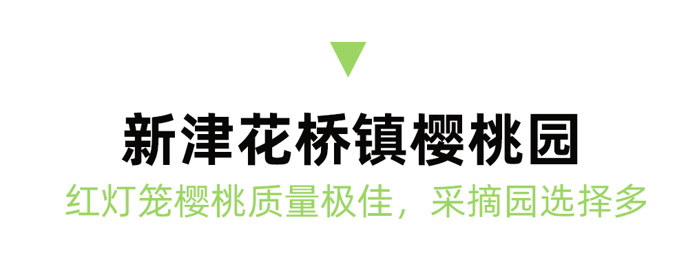 2023成都周边最全恩桃儿采摘地图出炉，6条线路保藏！