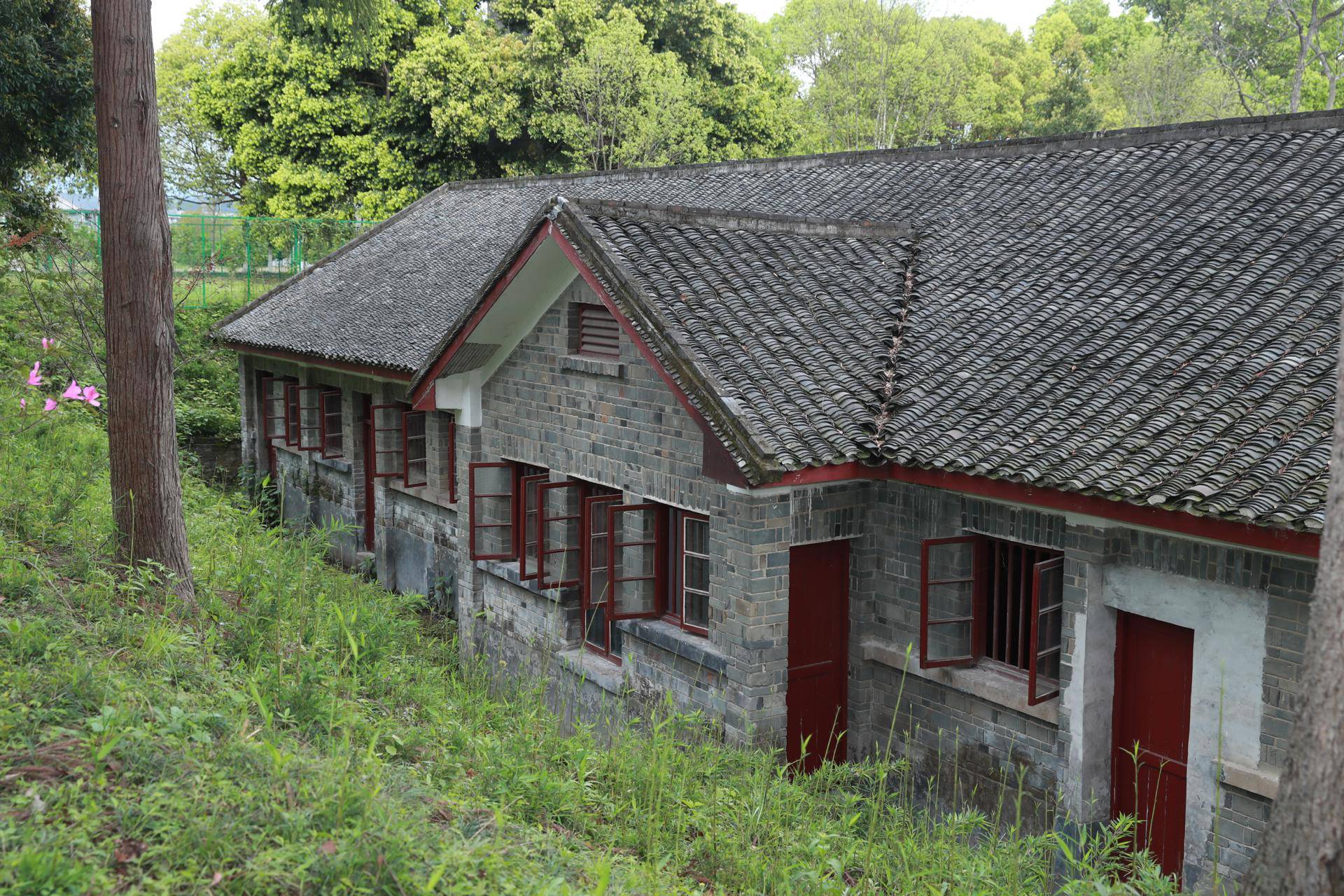 好评中国·走进湖南丨安江农校:杂交水稻的发源地_袁隆平_安江镇_纪念