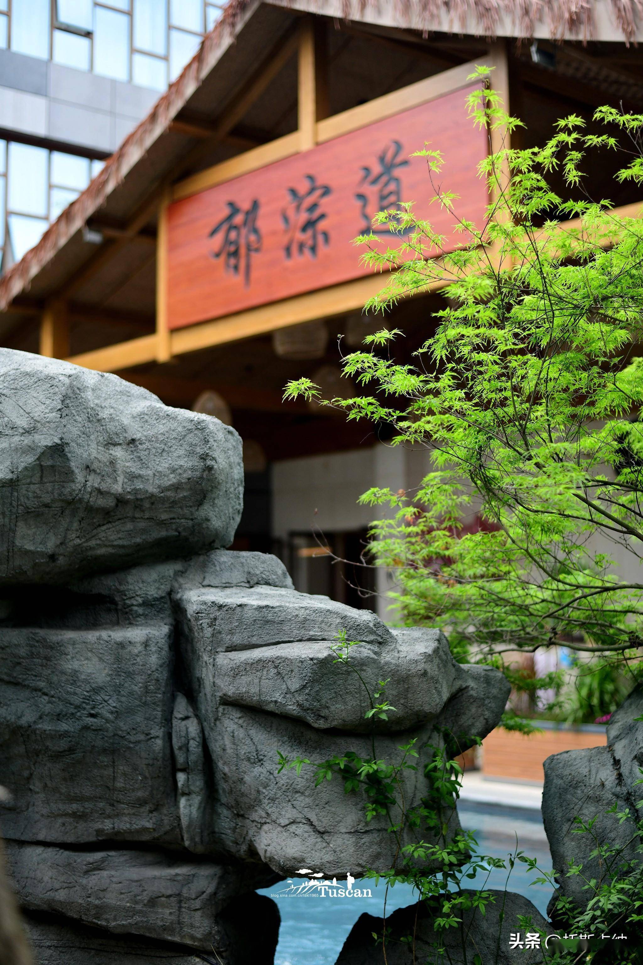 花开成都 | 成都青城山花间堂·山澄清,山脚下的惬意避世情怀_都江堰