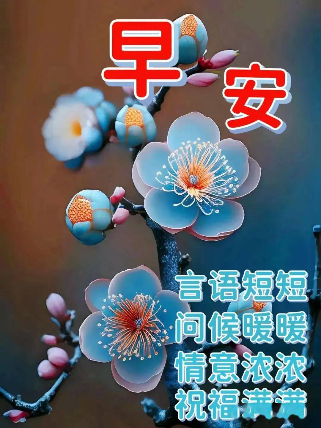 周二早上好表情包大全,愿你平安喜乐,吉祥如意!_好运